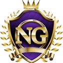 NG集团logo